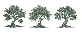 Olive Tree Design Elements #1, 25xAI Olive Tree Design Elements #1, 25xAI