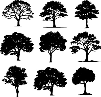 Tree Logos & Design Elements #3, 25xAI Tree Logos & Design Elements #3, 25xAI