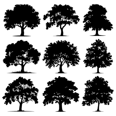 Tree Logos & Design Elements #3, 25xAI Tree Logos & Design Elements #3, 25xAI