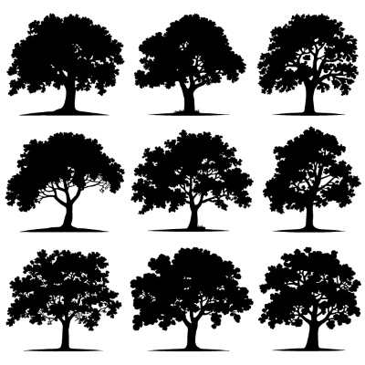 Tree Logos & Design Elements #3, 25xAI Tree Logos & Design Elements #3, 25xAI