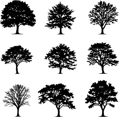 Tree Logos & Design Elements #3, 25xAI Tree Logos & Design Elements #3, 25xAI