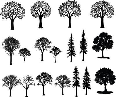 Tree Logos & Design Elements #3, 25xAI Tree Logos & Design Elements #3, 25xAI