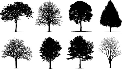 Tree Logos & Design Elements #3, 25xAI Tree Logos & Design Elements #3, 25xAI