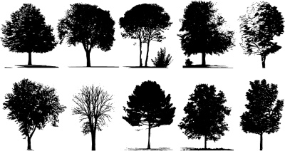 Tree Logos & Design Elements #3, 25xAI Tree Logos & Design Elements #3, 25xAI