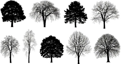 Tree Logos & Design Elements #3, 25xAI Tree Logos & Design Elements #3, 25xAI
