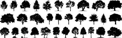 Tree Logos & Design Elements #3, 25xAI Tree Logos & Design Elements #3, 25xAI