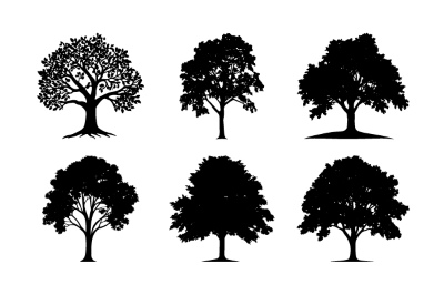 Tree Logos & Design Elements #3, 25xAI Tree Logos & Design Elements #3, 25xAI