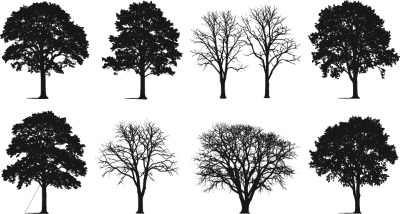 Tree Logos & Design Elements #3, 25xAI Tree Logos & Design Elements #3, 25xAI