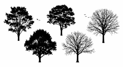 Tree Logos & Design Elements #3, 25xAI Tree Logos & Design Elements #3, 25xAI