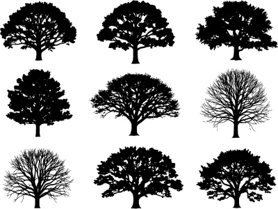 Tree Logos & Design Elements #3, 25xAI Tree Logos & Design Elements #3, 25xAI