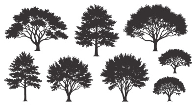 Tree Logos & Design Elements #3, 25xAI Tree Logos & Design Elements #3, 25xAI