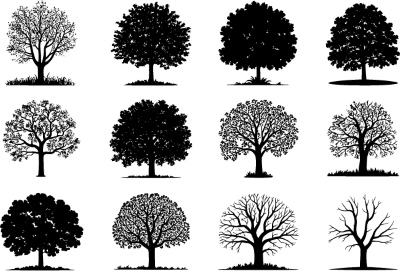 Tree Logos & Design Elements #3, 25xAI Tree Logos & Design Elements #3, 25xAI