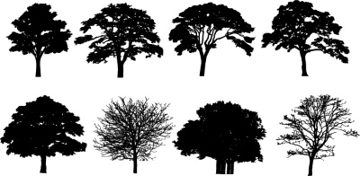 Tree Logos & Design Elements #3, 25xAI Tree Logos & Design Elements #3, 25xAI
