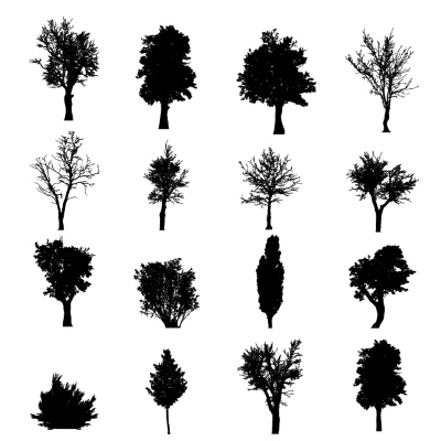 Tree Logos & Design Elements #3, 25xAI Tree Logos & Design Elements #3, 25xAI