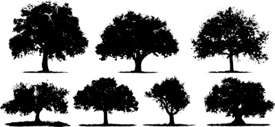 Tree Logos & Design Elements #3, 25xAI Tree Logos & Design Elements #3, 25xAI