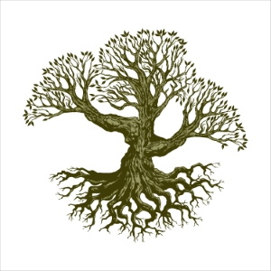 Olive Tree Design Elements #2, 25xAI