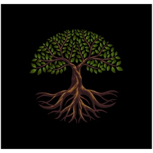 Olive Tree Design Elements #2, 25xAI