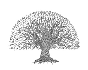 Olive Tree Design Elements #3, 25xAI Olive Tree Design Elements #3, 25xAI