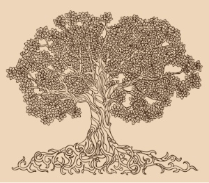 Olive Tree Design Elements #3, 25xAI Olive Tree Design Elements #3, 25xAI