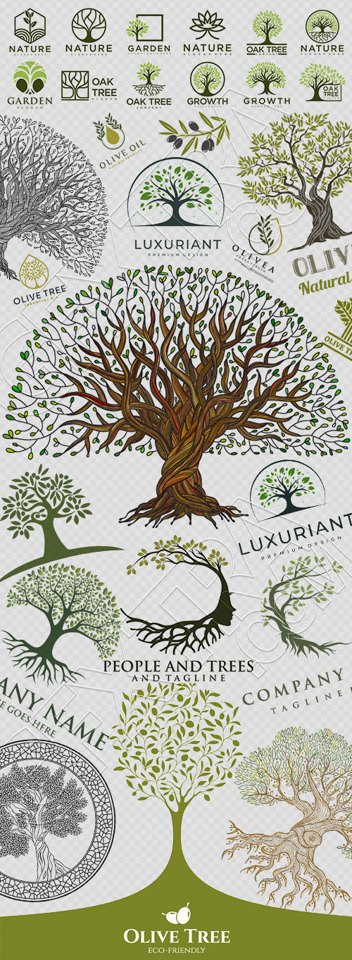 Olive Tree Design Elements #3, 25xAI