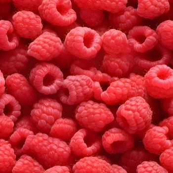 Seamless Fruit Backgrounds 25xJPEG