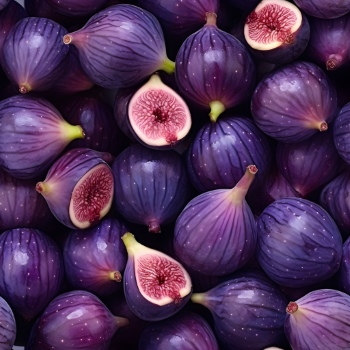 Seamless Fruit Backgrounds 25xJPEG