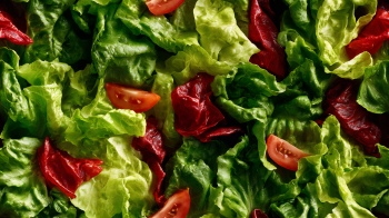 Seamless Vegetable Backgrounds #1, 25xJPEG