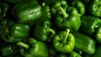 Seamless Vegetable Backgrounds #1, 25xJPEG