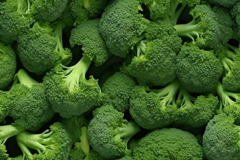 Seamless Vegetable Backgrounds #1, 25xJPEG