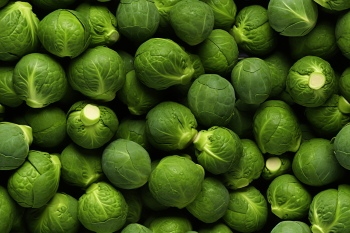 Seamless Vegetable Backgrounds #1, 25xJPEG