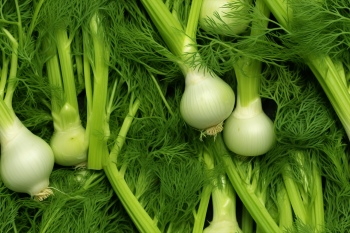 Seamless Vegetable Backgrounds #1, 25xJPEG