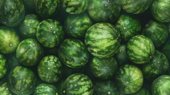 Seamless Vegetable Backgrounds #1, 25xJPEG