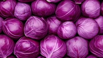 Seamless Vegetable Backgrounds #2, 25xJPEG