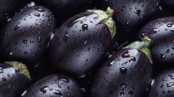 Seamless Vegetable Backgrounds #2, 25xJPEG