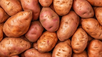 Seamless Vegetable Backgrounds #2, 25xJPEG