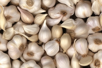 Seamless Vegetable Backgrounds #2, 25xJPEG