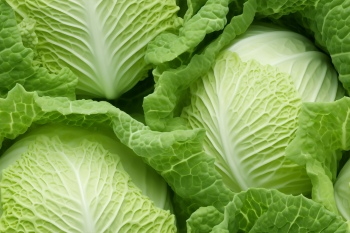 Seamless Vegetable Backgrounds #2, 25xJPEG