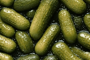 Seamless Vegetable Backgrounds #2, 25xJPEG