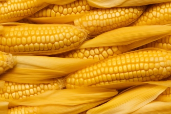 Seamless Vegetable Backgrounds #2, 25xJPEG