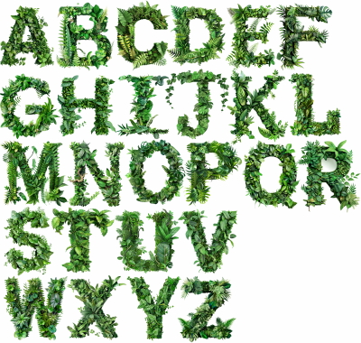 AdobeStock - PNG Alphabets Collection #1, 12xPNG GFXTRA.COM! AdobeStock - PNG Alphabets Collection #1, 12xPNG GFXTRA.COM!