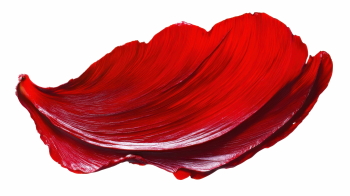 Red Rose, Hibiscus, Tulip, Geranium & Lotus Close Up Petals 36xPNG Red Rose, Hibiscus, Tulip, Geranium & Lotus Close Up Petals 36xPNG