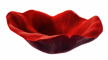 Red Rose, Hibiscus, Tulip, Geranium & Lotus Close Up Petals 36xPNG Red Rose, Hibiscus, Tulip, Geranium & Lotus Close Up Petals 36xPNG