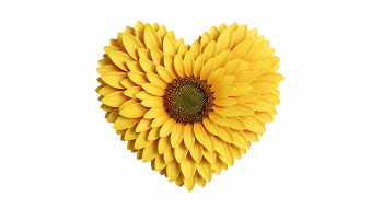 Valentine Concept Hearts #1, 38xPNG Valentine Concept Hearts #1, 38xPNG