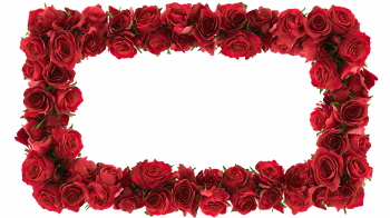 Valentine Red Rose Borders & Frames 29xPNG Valentine Red Rose Borders & Frames 29xPNG