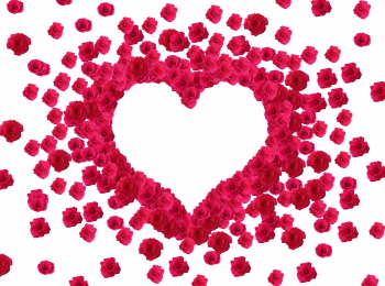 Valentine Red Rose Borders & Frames 29xPNG Valentine Red Rose Borders & Frames 29xPNG