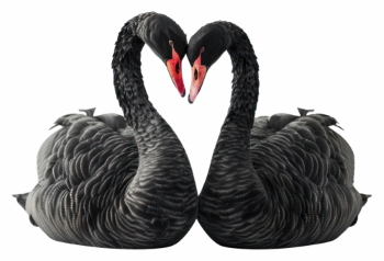 Valentine Concept Hearts #3, 31xPNG