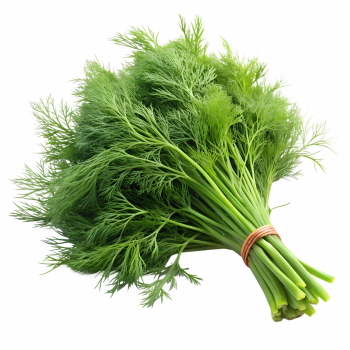 Salad Greens 52xPNG