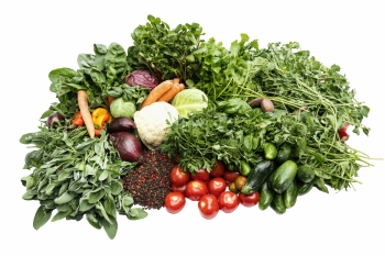 Salad Greens 52xPNG