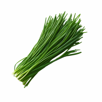 Salad Greens 52xPNG