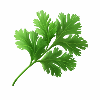 Salad Greens 52xPNG